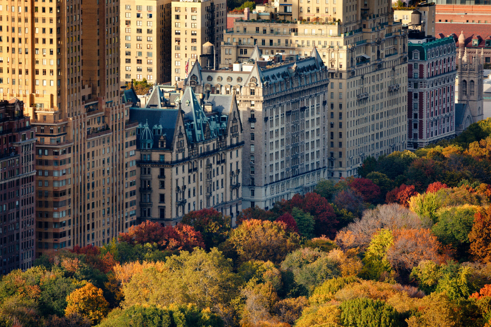 luces al atardecer en central park